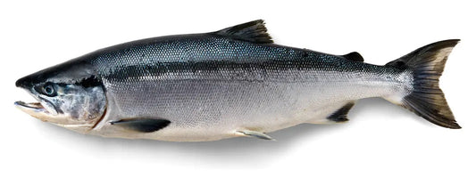 Wild-Caught Salmon or Farm-Raised Salmon?