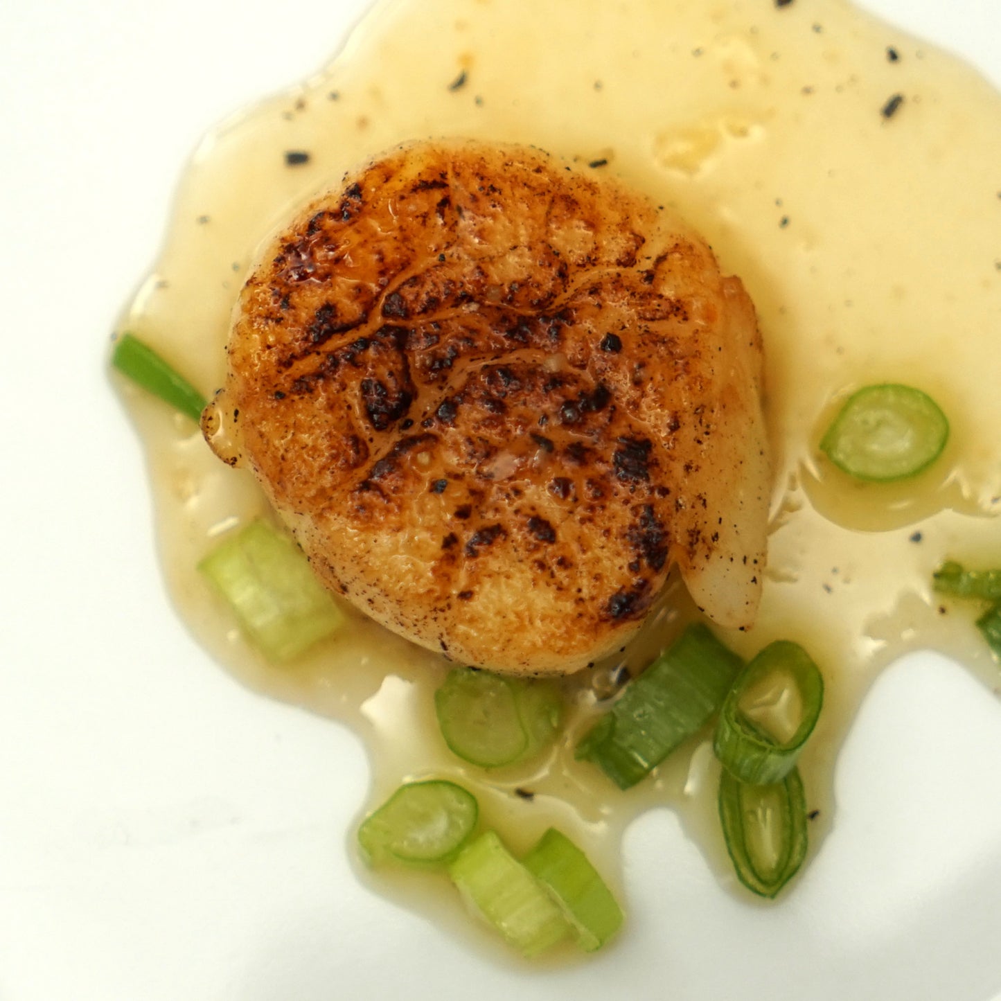 Wild Jumbo Diver Sea Scallops