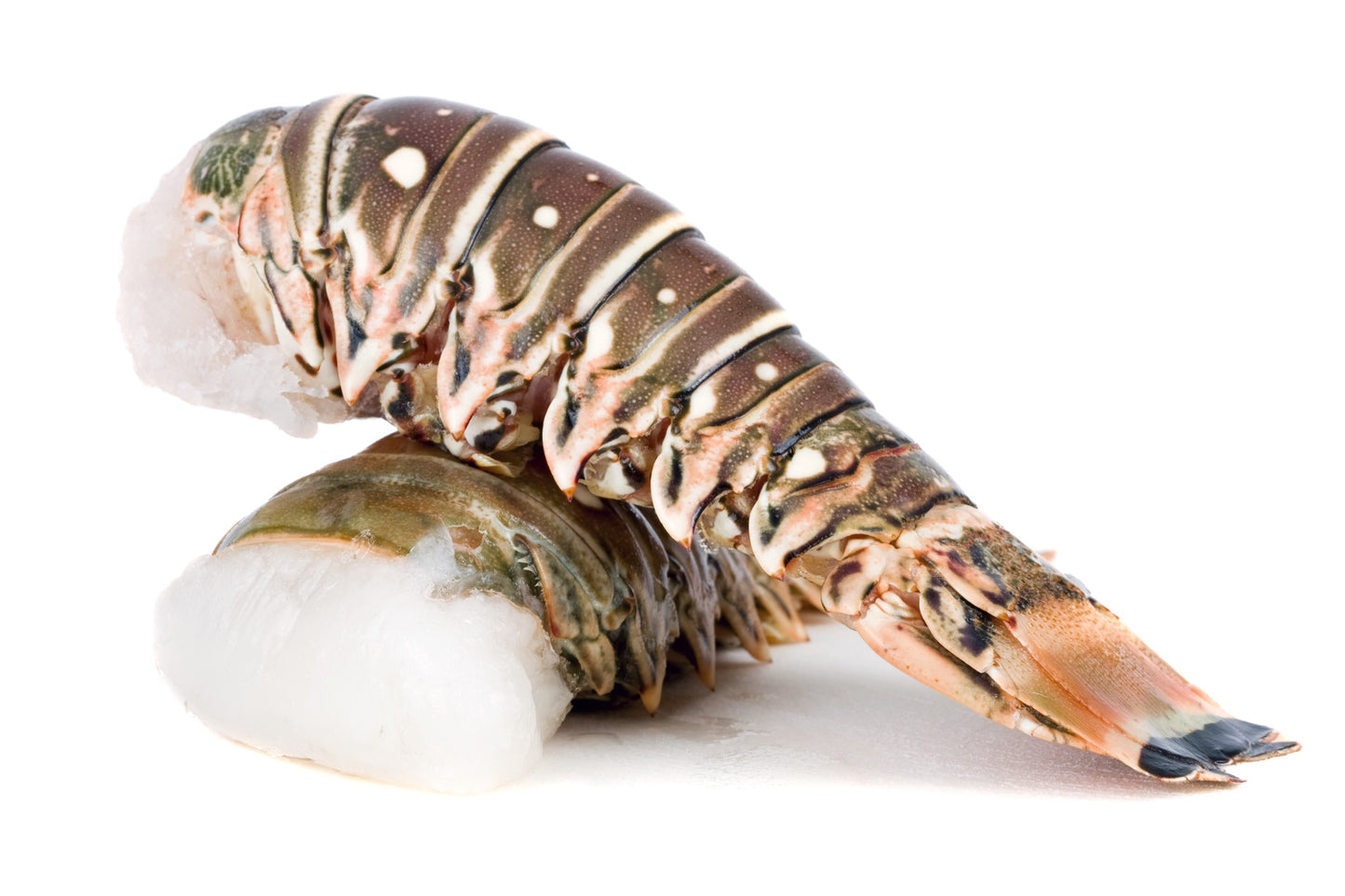 Wild Giant Rock Lobster Tails