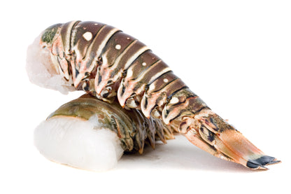 Wild Giant Rock Lobster Tails